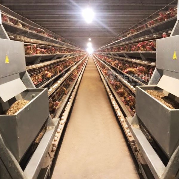 06d759c55087c254a612d67f261f952f