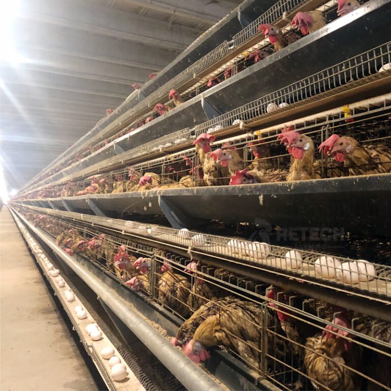 18120768ca943ad0c0dd1a3efde02bd7