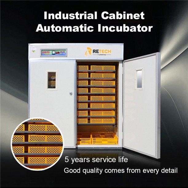 217b13ebe35088a5ad54a635a92350b9