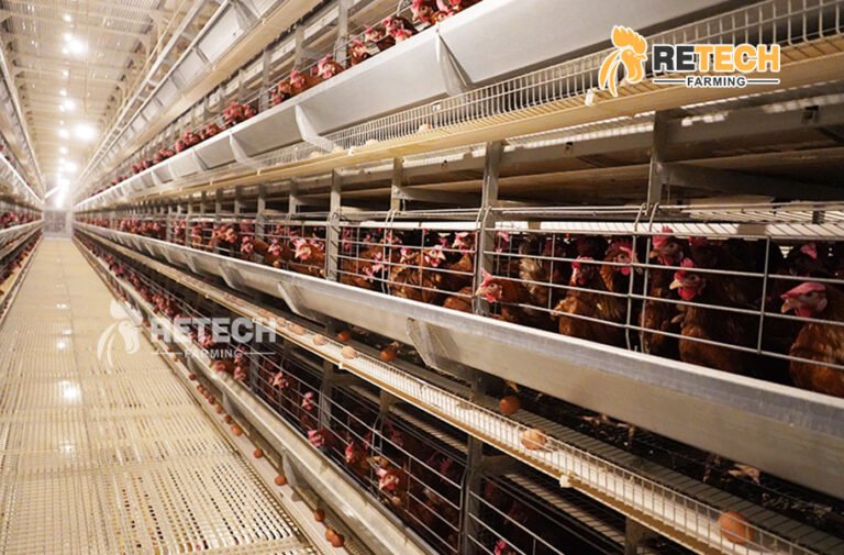 841be9619d5a0c041a081bcac2748454