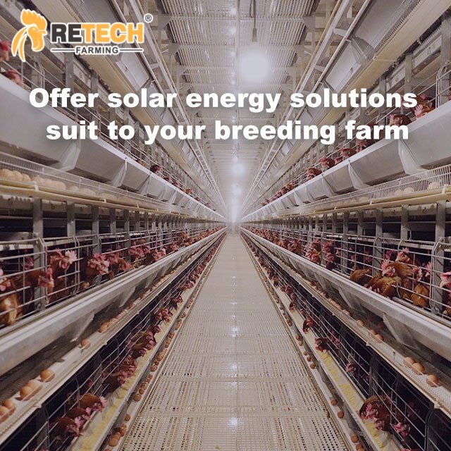 8e0647f397802e013d0211a43d7a3d6d