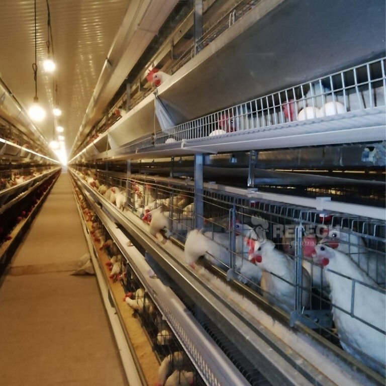 90bc15d919a8c88a95e7a938961a2868