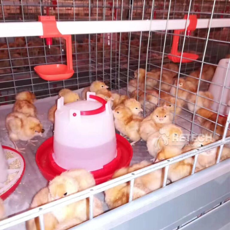 a47272ed19bfdd2bd12f9c63e205edb7