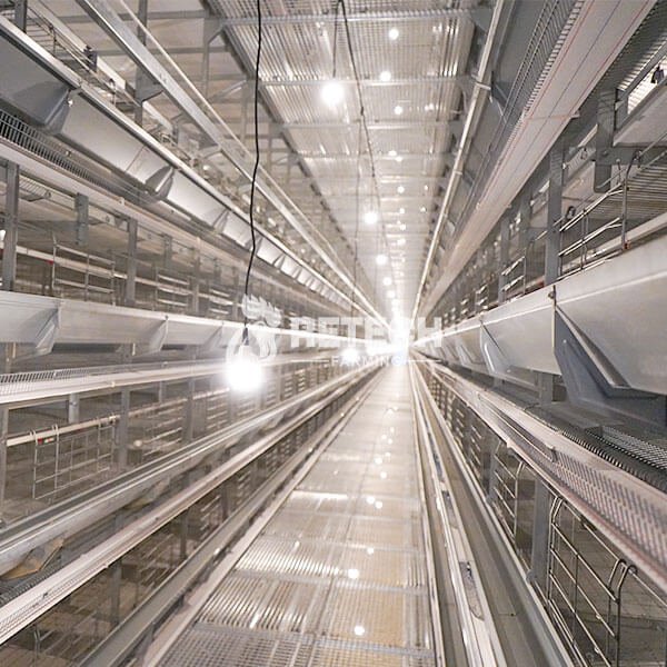 ab343674255786606c9fb18bc092b1d8