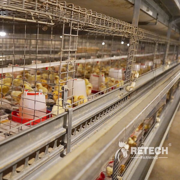 b0c190762a26b5f5b74fed45fc063cdb