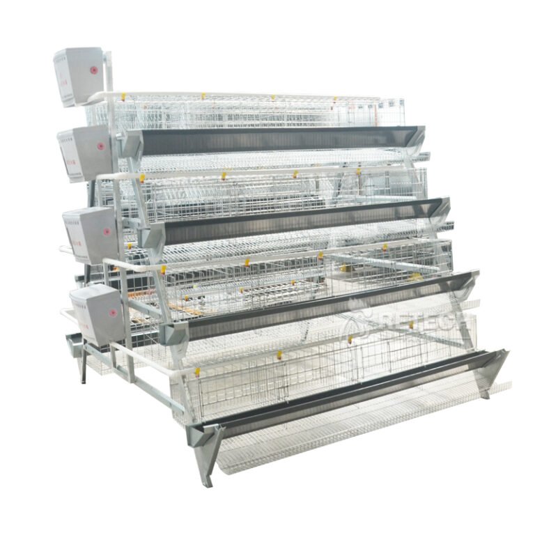 d518c8169d4ea2ef6a1273d2f233d0b2