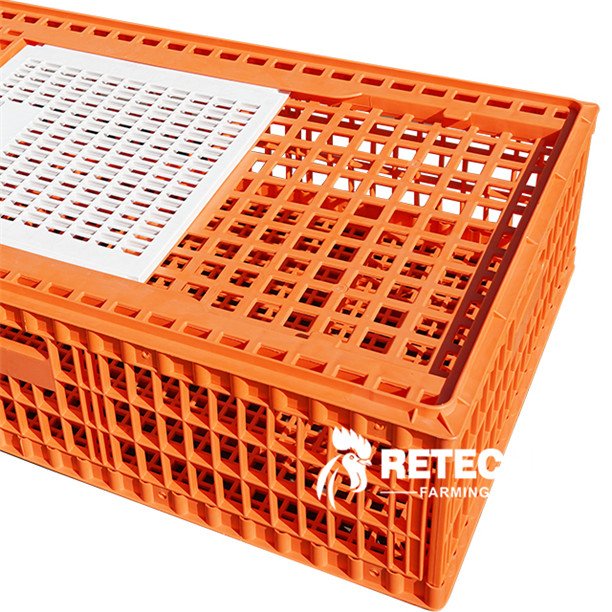 e0489e255866cee3bc715f3fbd03ac00